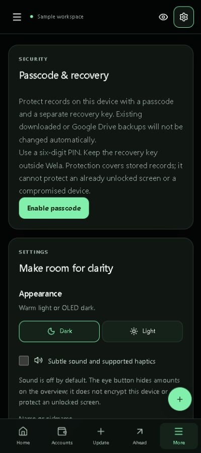 Passcode and recovery local security view